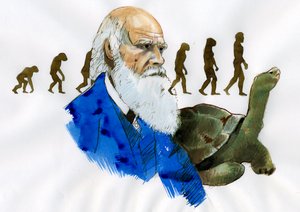 Porträt von Charles Darwin - Porträt des englischen Naturforschers Charles Darwin (1809-1882)