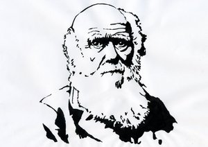 Porträt von Charles Darwin - Porträt des englischen Naturforschers Charles Darwin (1809-1882). von Alessandro Lonati