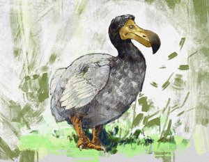 Darstellung des ausgestorbenen Dodo-Vogels (Illustration)