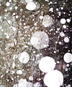 Schnee von Alex Caminker