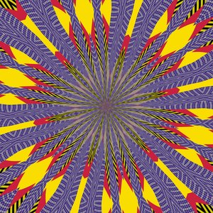 Sonnenblume von Alex Caminker