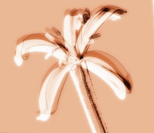 Ohne Titel, 2019 von Alex Caminker