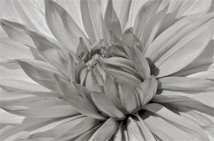 Ohne Titel