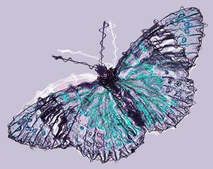 Schmetterling 7, 2020 von Alex Caminker