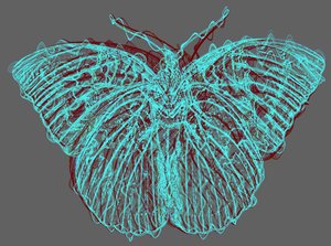 Schmetterling 8, 2020 von Alex Caminker
