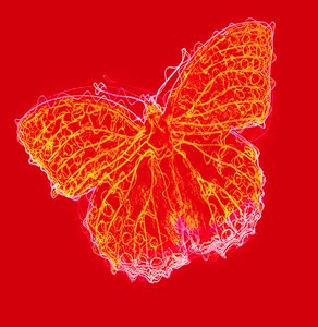 Schmetterling III
