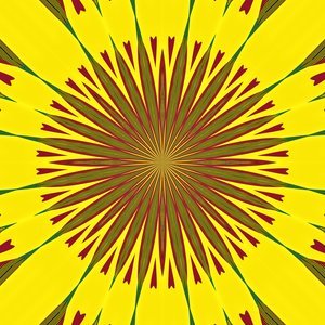 Geometrie, 2019 von Alex Caminker