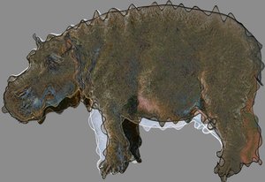 Nilpferd, 2020 von Alex Caminker