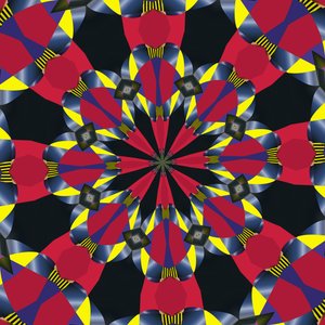 Materielle Symmetrie von Alex Caminker