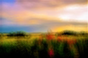 Palette von Alex Caminker