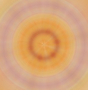 Platten, 2019 von Alex Caminker