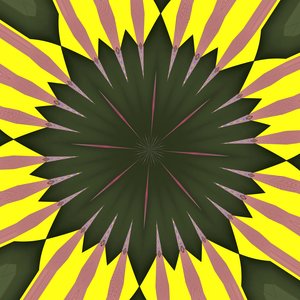 Sonnenblume von Alex Caminker