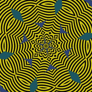 Symmetrie #13 von Alex Caminker