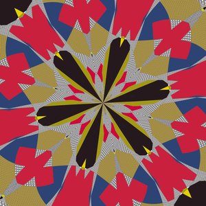 Symmetrie #16 von Alex Caminker