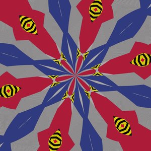 Symmetrie #2 von Alex Caminker