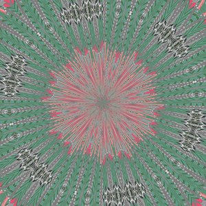 Symmetrie #31 von Alex Caminker