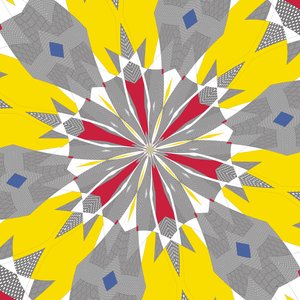 Symmetrie #48 von Alex Caminker