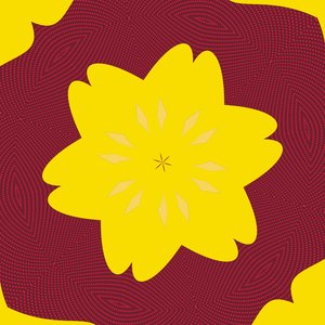 Symmetrie #50 von Alex Caminker