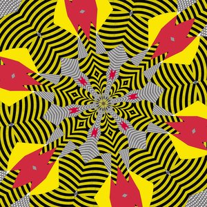 Symmetrie #5 von Alex Caminker