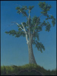 Ulmenbaum bei Horton Landing von Alex Colville