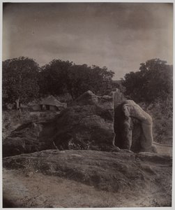 Skulpturierter Elefant auf einem Felsen mit Asoka-Inschriften, Dhauli, Puri-Distrikt von Alexander Caddy