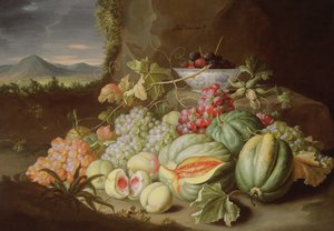 Stillleben mit Früchten von Alexander Coosemans