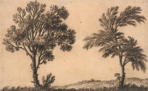 Studie von zwei Weiden von Alexander Cozens