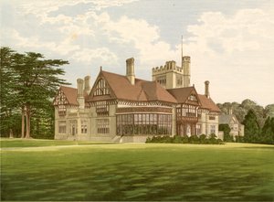 Cowdray Park von Alexander Francis Lydon