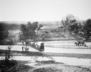 Planwagen überquert den Tecolate Creek, New Mexico