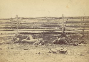 Ansicht im Feld, auf der Westseite der Hagerstown Road, nach der Schlacht von Antietam, 1862 von Alexander Gardner