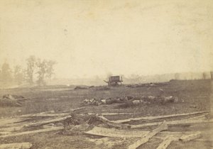 Ansicht des Schlachtfeldes von Antietam, September 1862, 1862 von Alexander Gardner