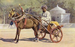 Ein Benares Ekka von Alexander Henry Hallam Murray