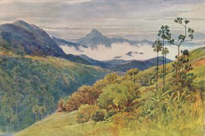 Morgennebel im Tal des Mahawelli Gangha, ca. 1880-1905