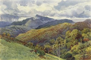 Die Berge von Pallekelly