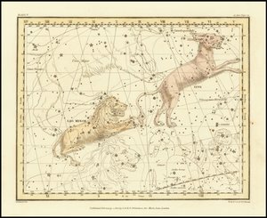 1822 - Alexander Jamieson - Luchs & Kleiner Löwe von Alexander Jamieson