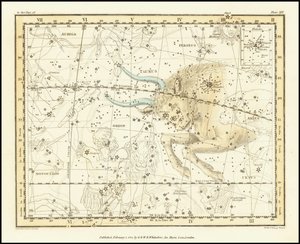 1822 - Alexander Jamieson - Stier von Alexander Jamieson