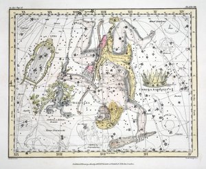 Die Sternbilder (Tafel VIII) Coronoa Borealis, Herkules und Cerberus, Lyra, aus 