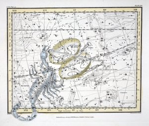 Die Sternbilder (Tafel XIX) Waage und Skorpion, aus 
