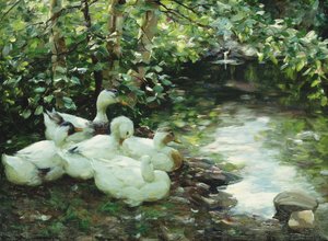 Fünf Enten am Bach, steiniges Ufer
