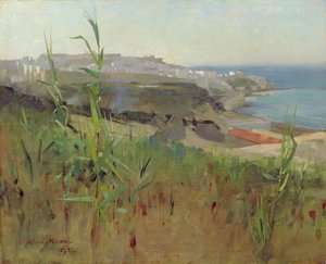 Tanger von den Dünen, 1892 von Alexander Mann