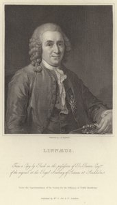 Linnaeus von Alexander Roslin
