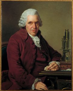 Porträt von Louis Jean Marie Daubenton, genannt Daubenton (1716 - 1800), französischer Naturforscher von Alexander Roslin