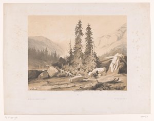 Berglandschaft mit Tannen und Bergziegen