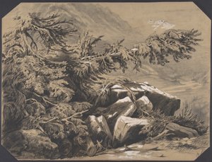  von Alexandre Calame
