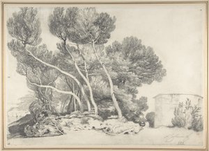  von Alexandre Calame