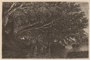 Bäume über einem Teich von Alexandre Calame