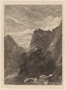 Bäume am Fuß einer Klippe