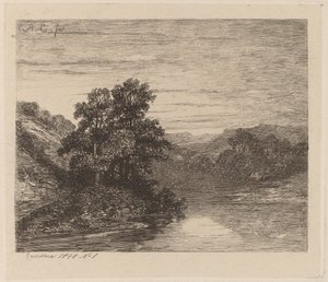 Bäume an einem Fluss