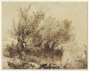 Weiden an einem See in sanft hügeligem Gelände von Alexandre Calame