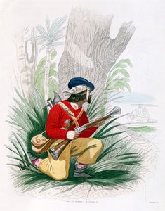 Der Freibeuter, aus 